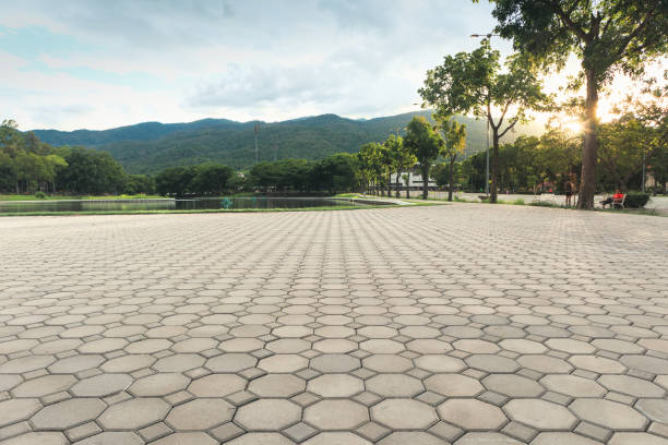 Best Brick Driveway Pavers  in Johnson Lane, NV