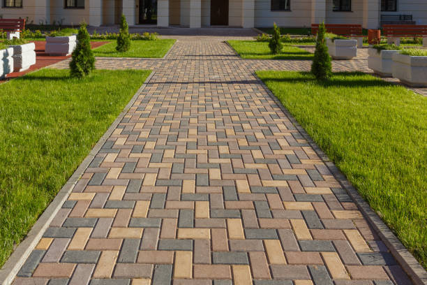 Best Best Driveway Pavers  in Johnson Lane, NV